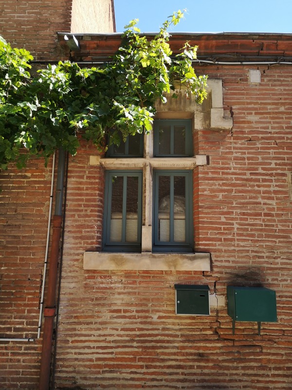 Musée Saint-Raymond (31) – Façades 1 Restauration de Monuments historiques à Toulouse - Musée Saint-Raymond (31) – Façades